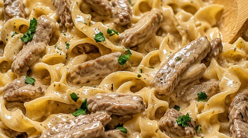 Close-up of beef stroganoff with thin beef strips in creamy sauce tossed with egg noodles